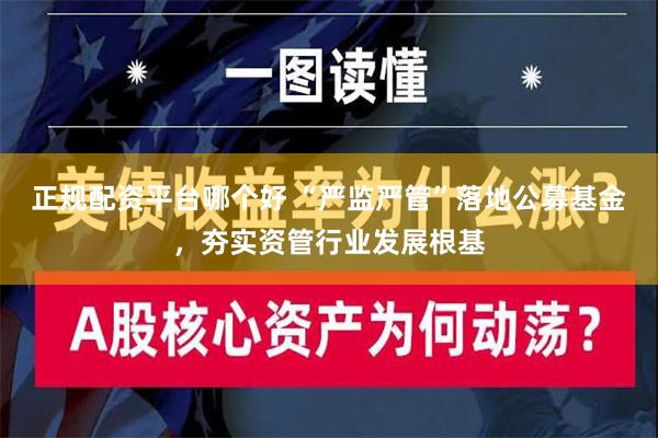 正规配资平台哪个好 “严监严管”落地公募基金，夯实资管行业发展根基