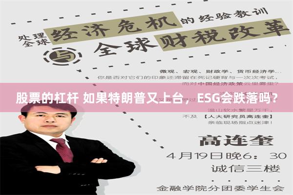 股票的杠杆 如果特朗普又上台，ESG会跌落吗？