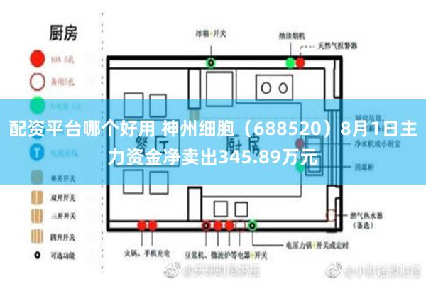 配资平台哪个好用 神州细胞（688520）8月1日主力资金净卖出345.89万元