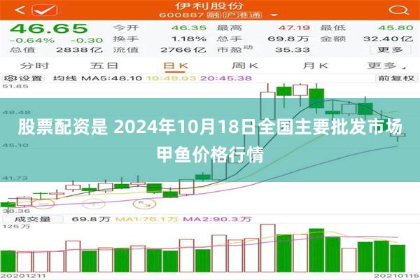 股票配资是 2024年10月18日全国主要批发市场甲鱼价格行情