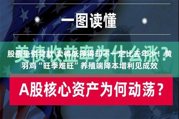 股票垫资贷款 卖得低挣得却不一定比去年少！黄羽鸡“旺季难旺”养殖端降本增利见成效