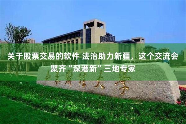 关于股票交易的软件 法治助力新疆，这个交流会聚齐“深港新”三地专家