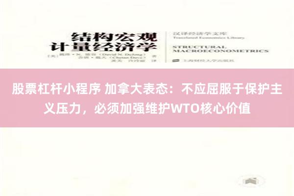 股票杠杆小程序 加拿大表态：不应屈服于保护主义压力，必须加强维护WTO核心价值